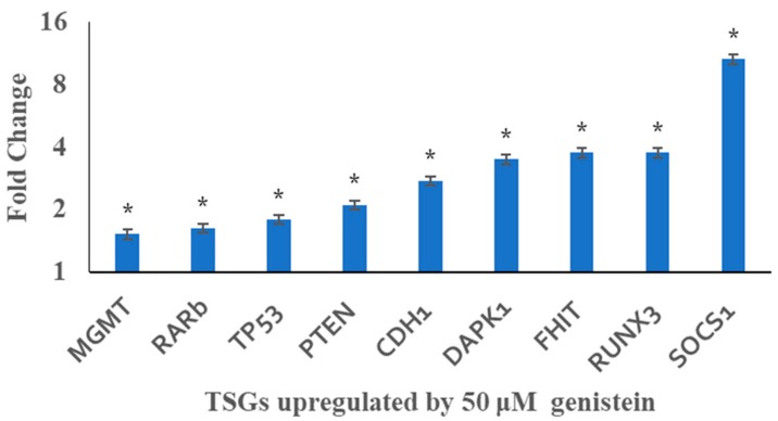 Figure 6