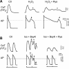Fig. 7.