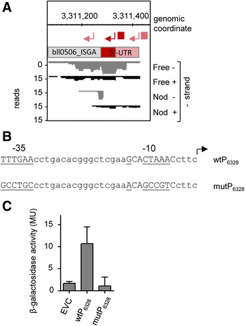 Fig. 8