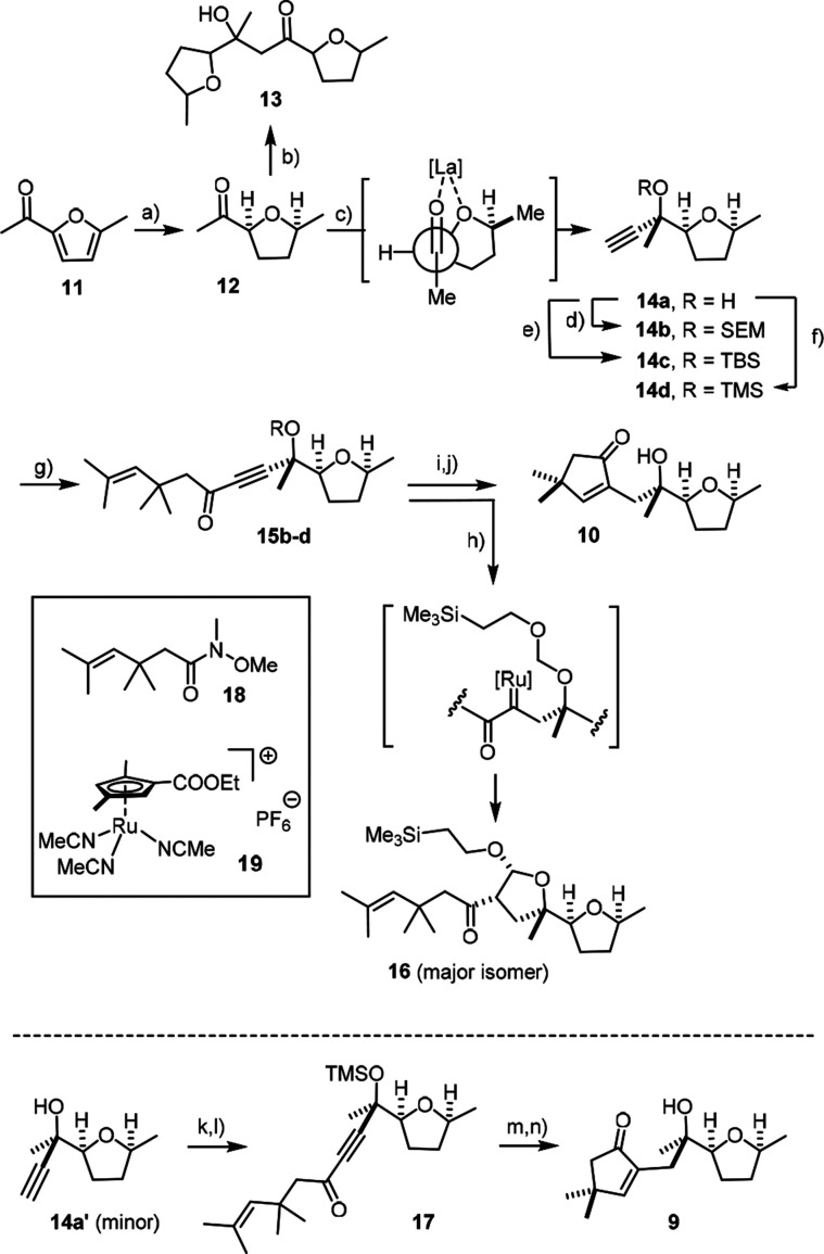 Scheme 5