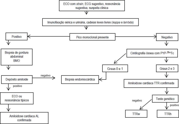 Figura 1