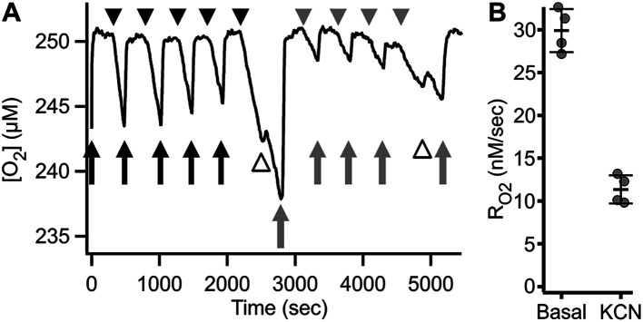 Fig. 8