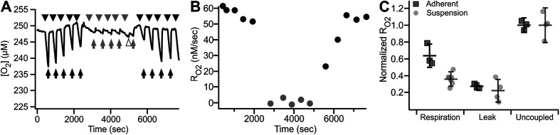 Fig. 9