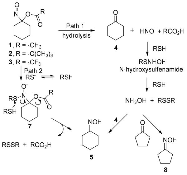 Scheme 5