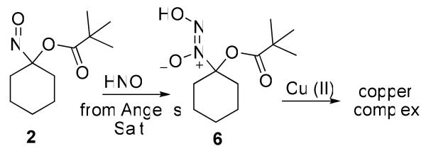 Scheme 4