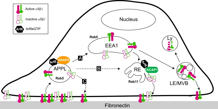 FIGURE 9.