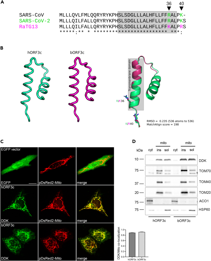 Figure 1