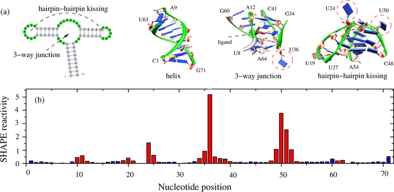 Figure 1: