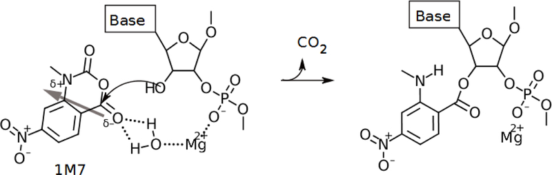 Figure 7: