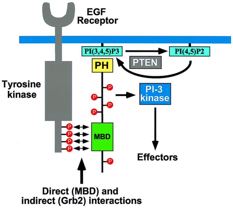 FIG. 9