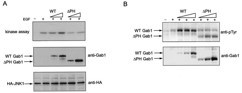 FIG. 6