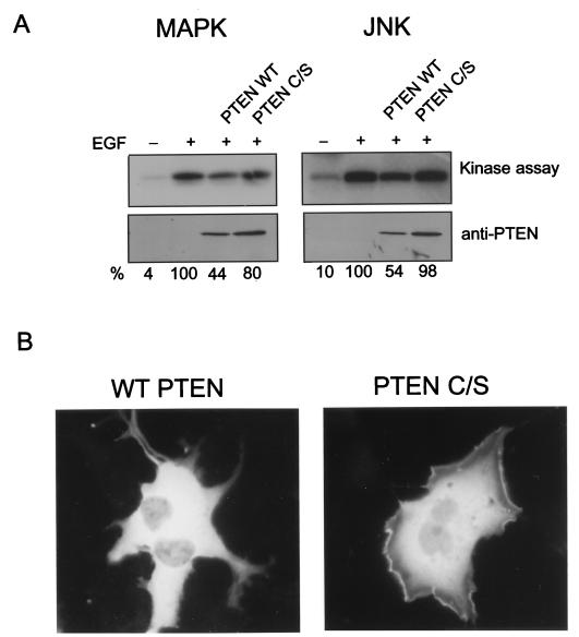 FIG. 8