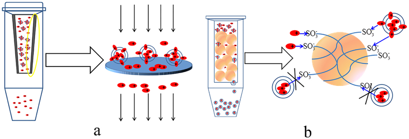 Figure 11.