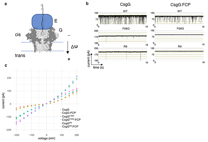 Extended Data Fig. 4