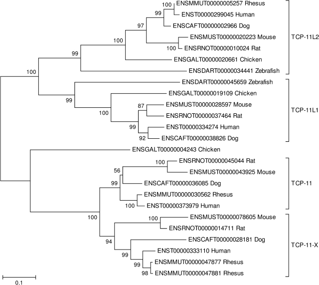 FIG. 4.—