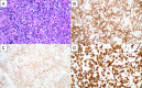 Figure 2: