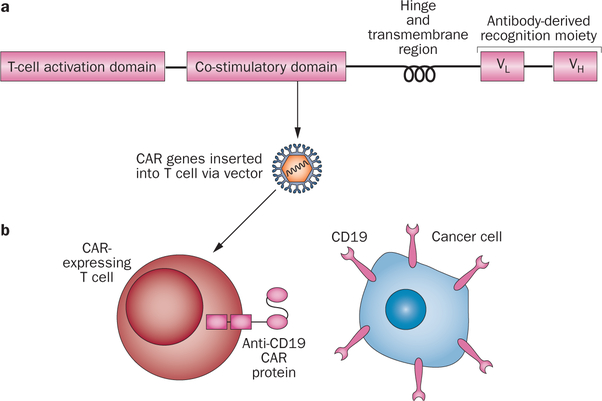 Figure 1 |