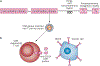 Figure 1 |
