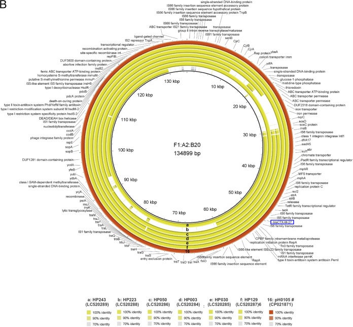 FIG 2