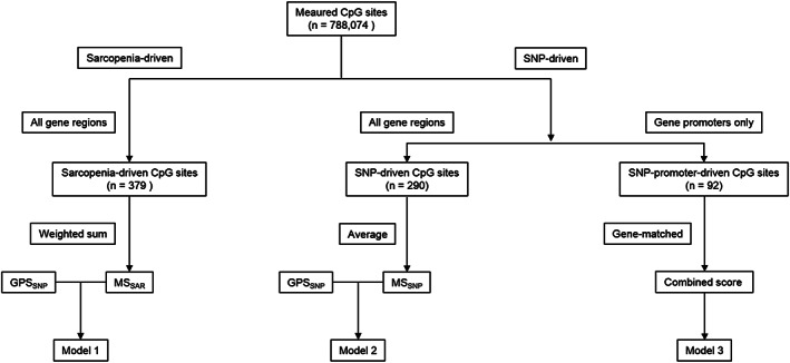 FIGURE 1