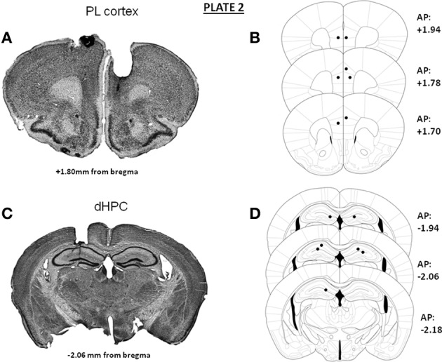 Plate 2