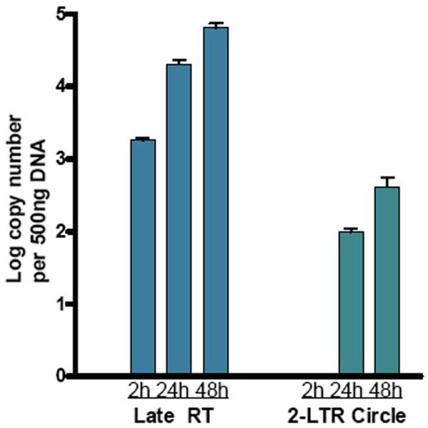 Figure 2