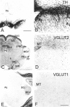 Fig. 9.