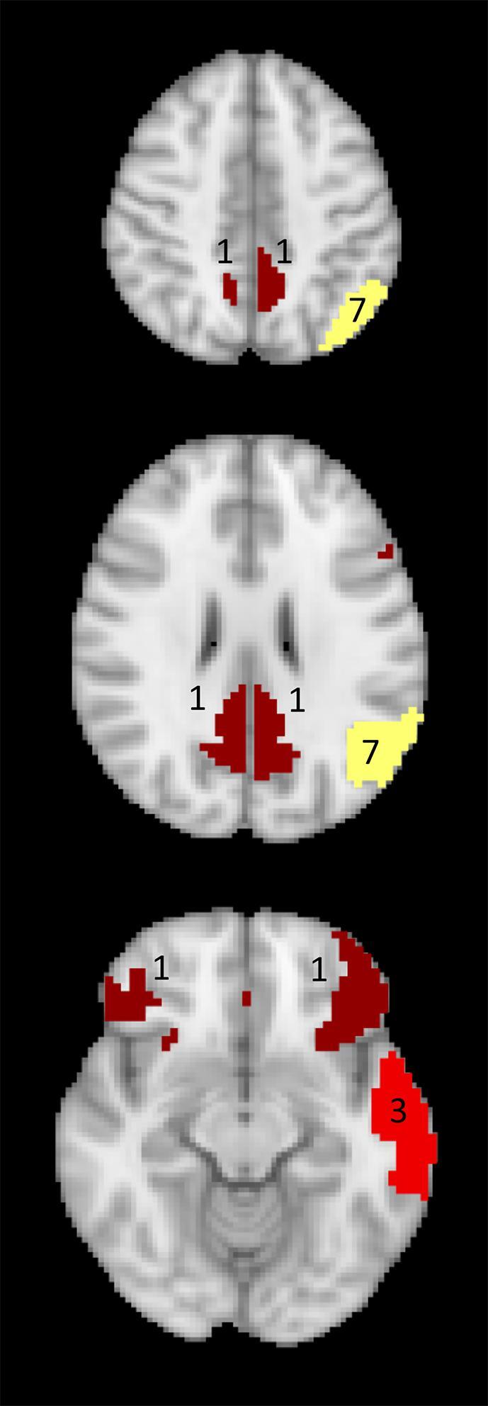 Fig. 7