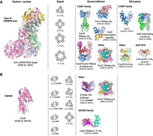 FIGURE 4.