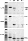 Figure 6.