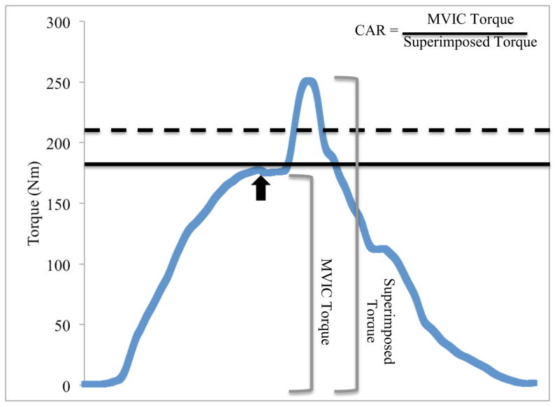 FIGURE 1