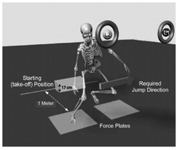 FIGURE 2