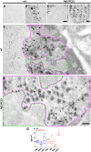Fig 5