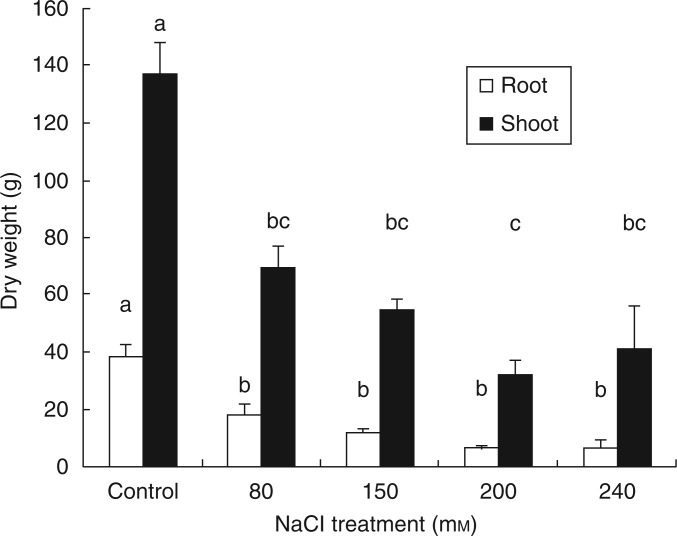 Fig. 2.