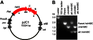 FIG 2
