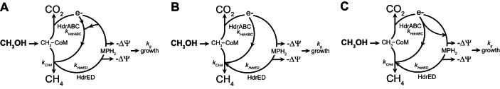 FIG 1