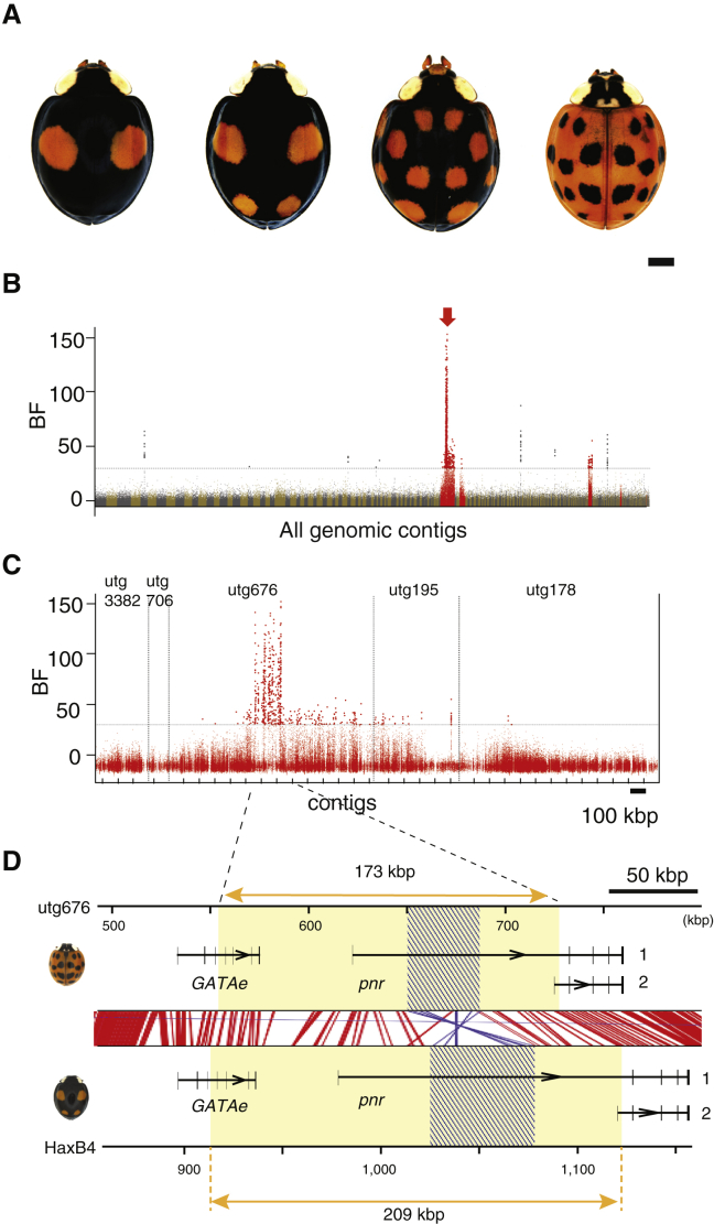 Figure 1