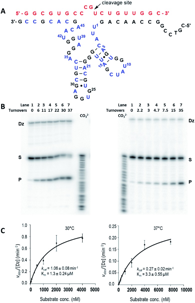 Fig. 3