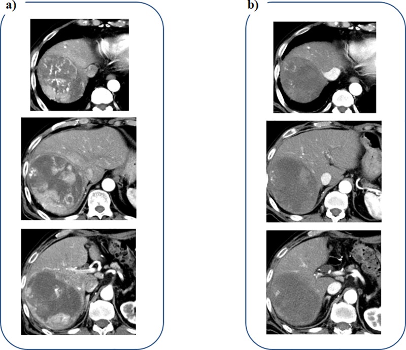 Fig 5