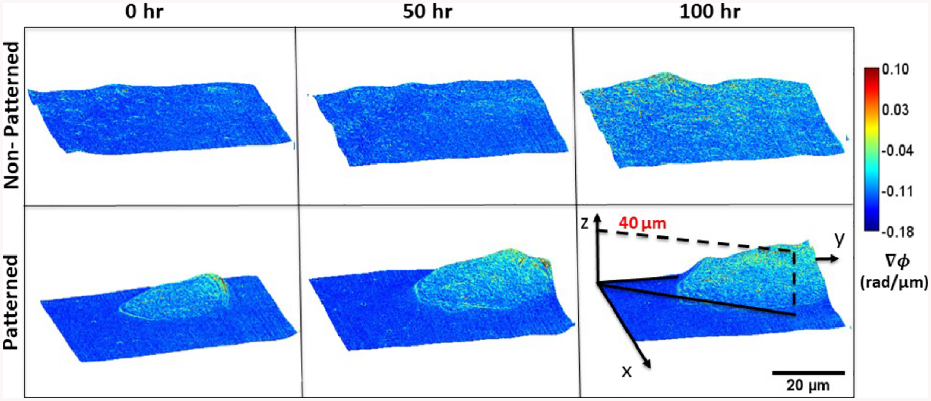 FIGURE 3