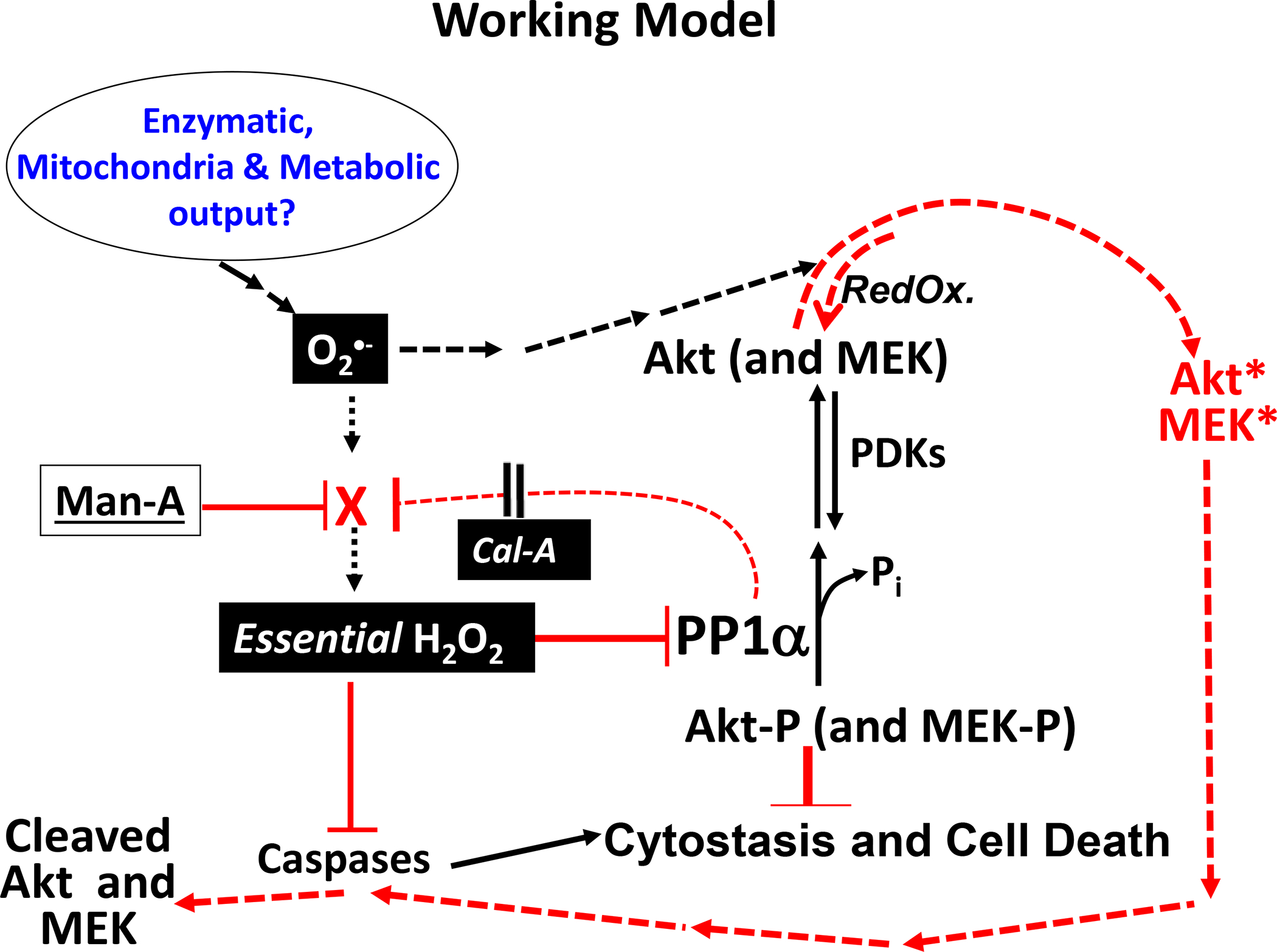 Figure 10.