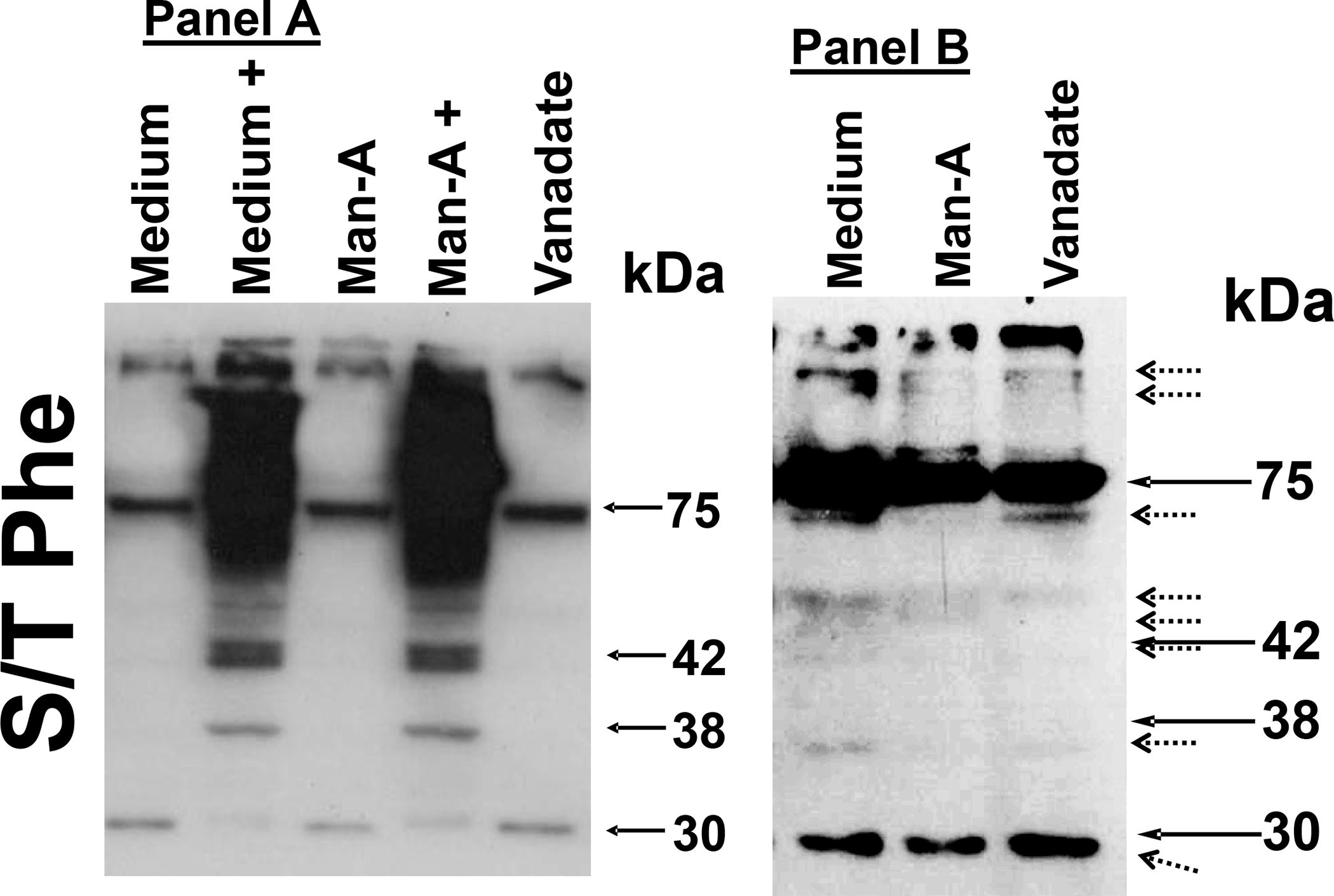 Figure 9.