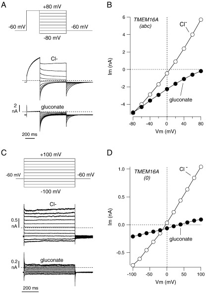 Fig. 4