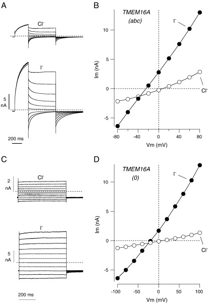 Fig. 6