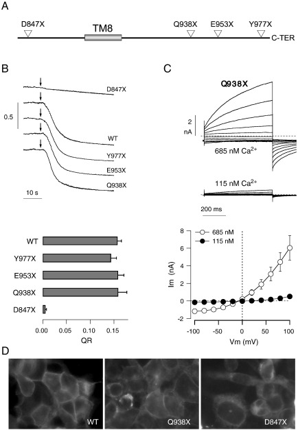 Fig. 7