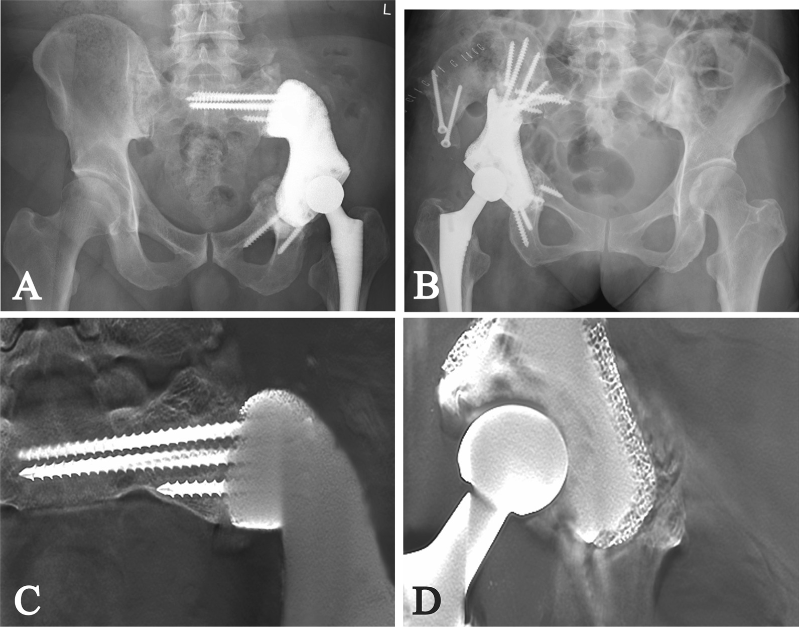 Fig. 5