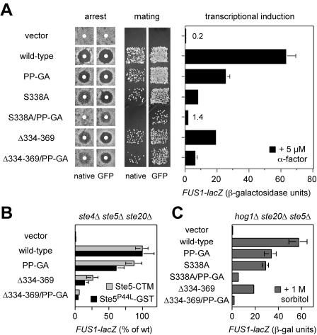 FIG. 2.