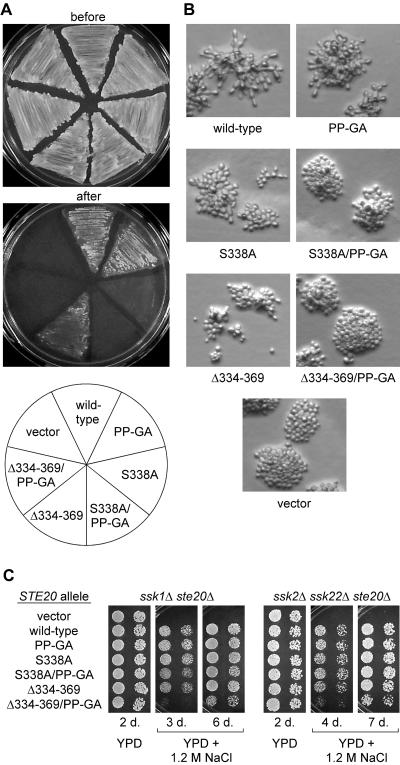 FIG. 6.