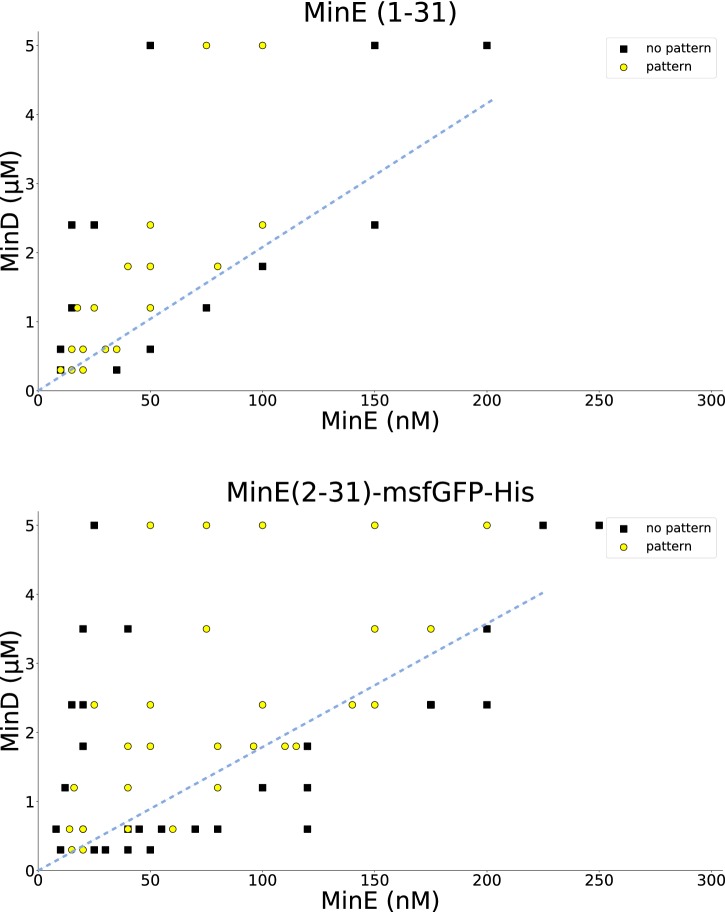 Figure 2—figure supplement 2.