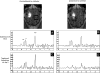Fig. 4.